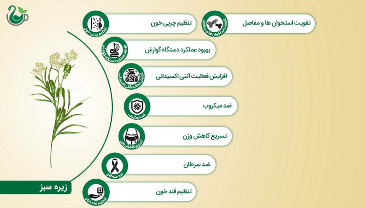 دمنوش زیره سبز