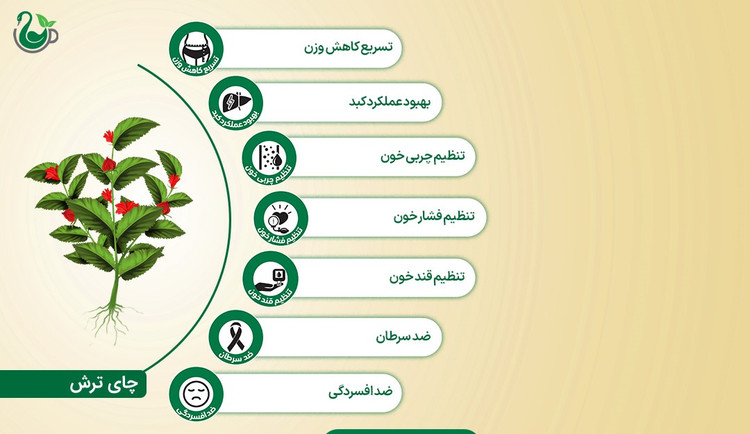 دمنوش ریزمیوه های قرمز