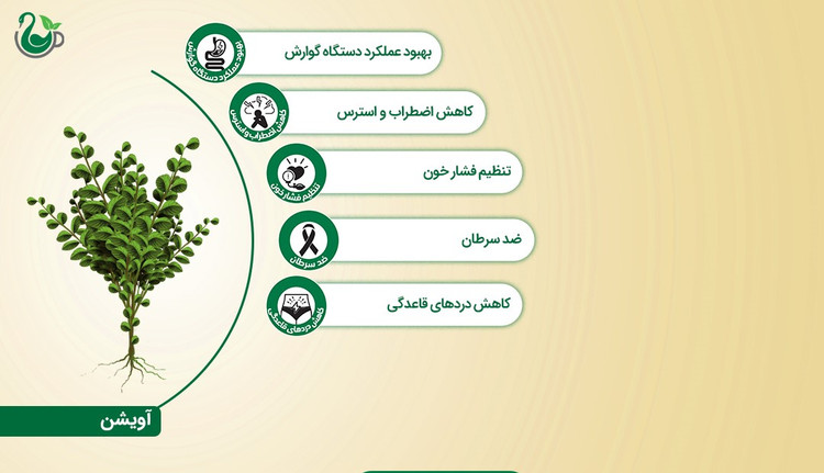 دمنوش آویشن