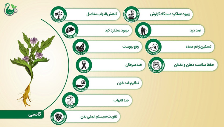 دمنوش کاسنی