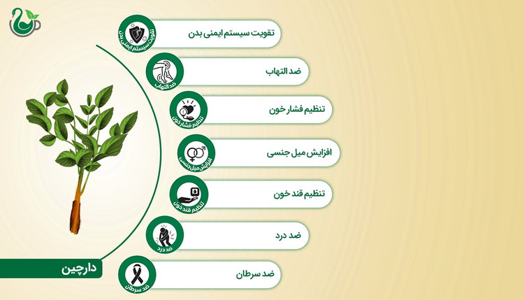 چوب دارچین