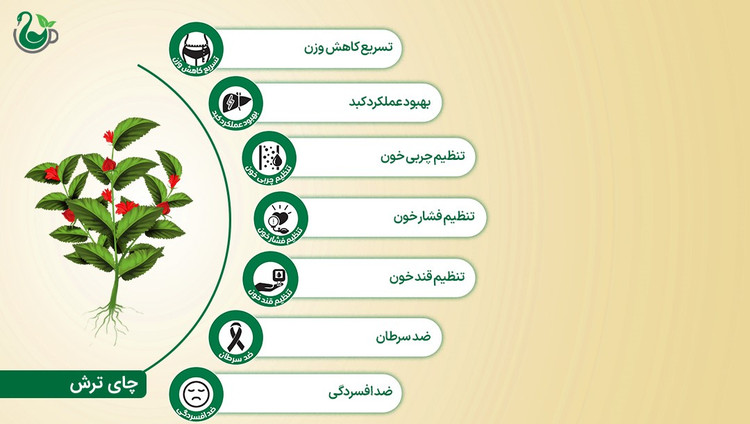 چای ترش