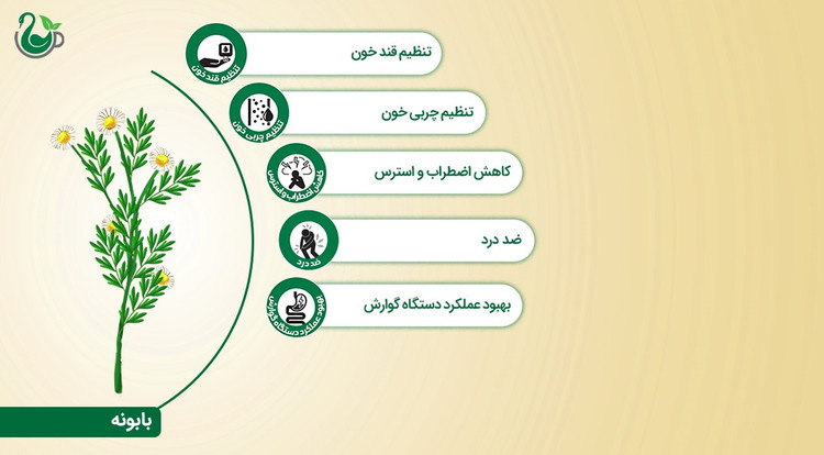 دمنوش بابونه