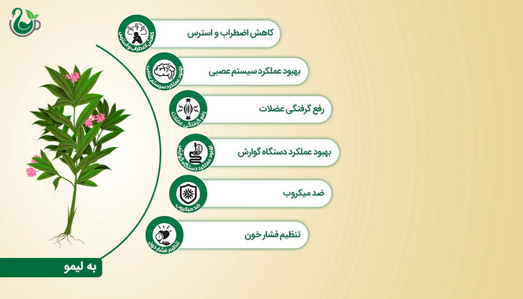 دمنوش به لیمو