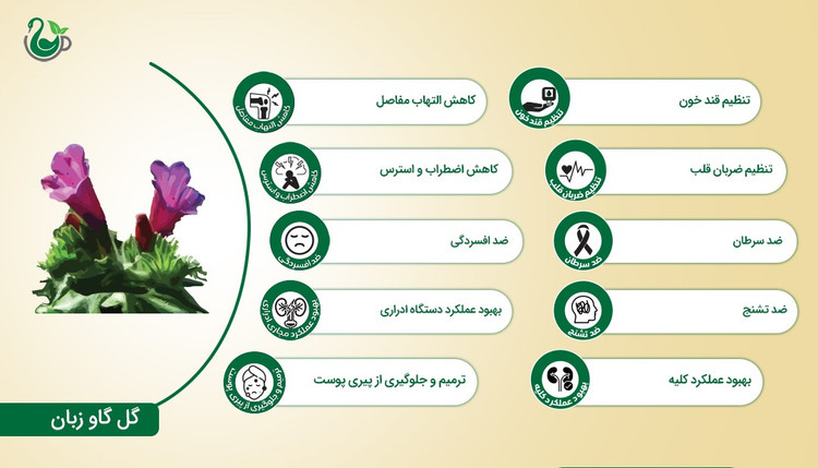 دمنوش گل گاوزبان