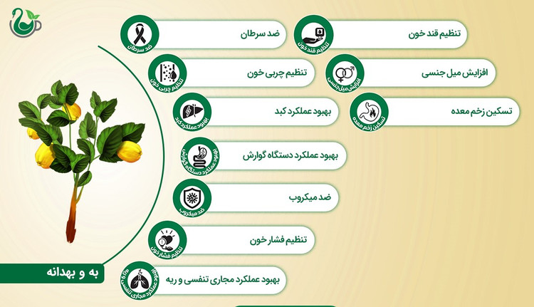بهدانه