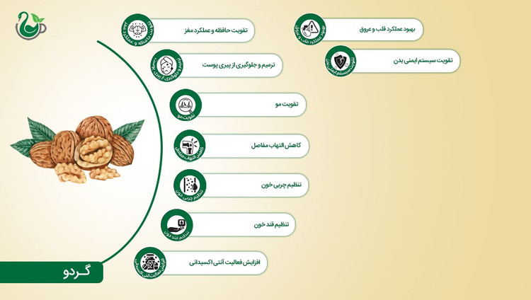 روغن گردو (120 میلیلیتر)