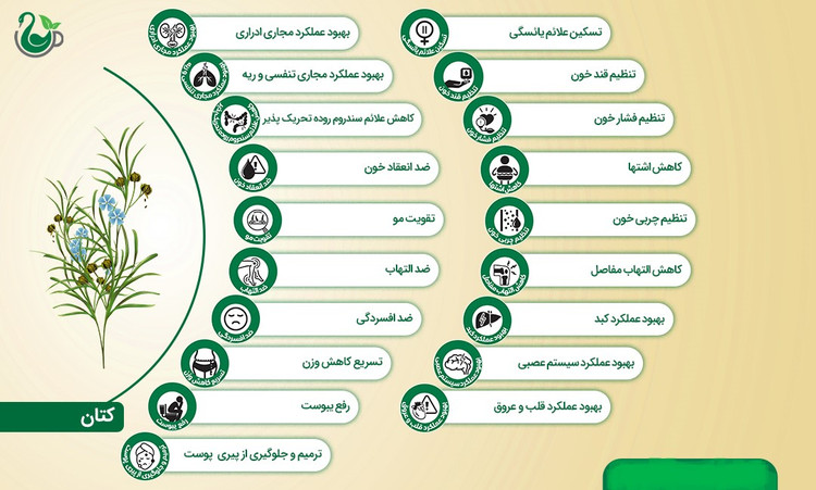 روغن تخم کتان (120 میلیلیتر)