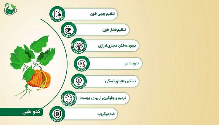 روغن تخمه کدو (120 میلیلیتر)