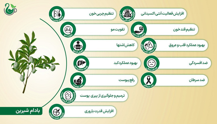 روغن بادام شیرین (120 میلیلیتر)