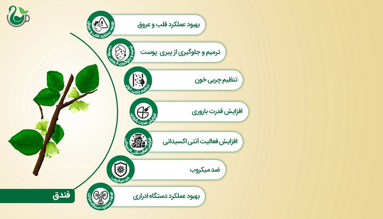 روغن فندق (120 میلیلیتر)
