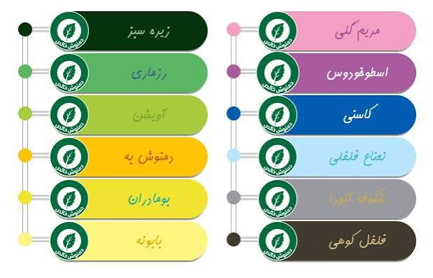 رنگین کمان 12 عددی