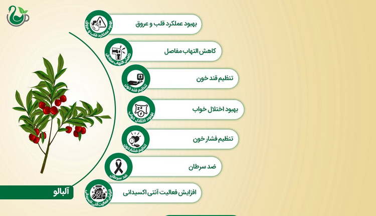 چای سیاه و آلبالو