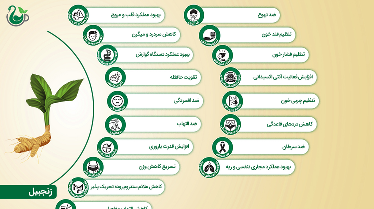 چای سیاه و زنجبیل