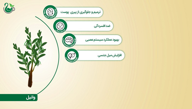چای سیاه و وانیل