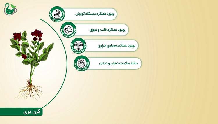 چای سیاه و کرن بری