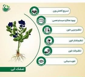 چای سیاه و تمشک آبی
