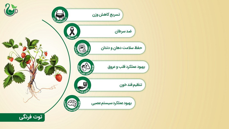 چای سیاه و توت فرنگی