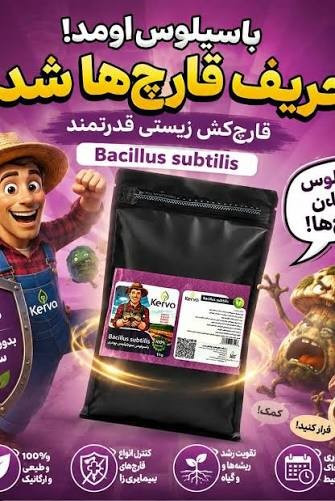 كود زیستی جامد باسیلوس سوبتیلیس یک کیلویی کروا