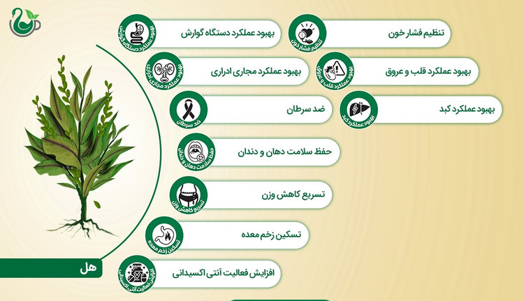 چای سیاه و هل