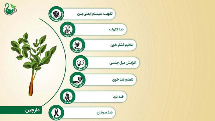 چای ماسالا