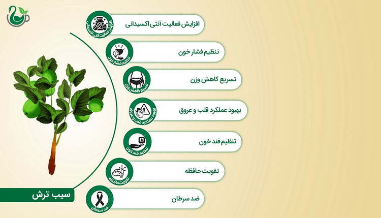 چای سبز و سیب ترش