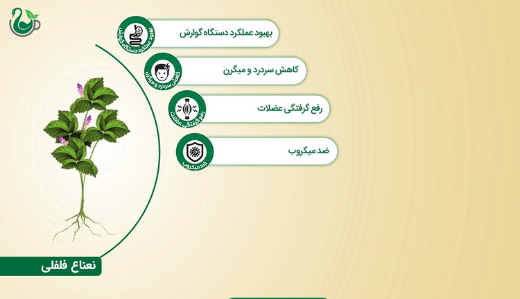 چای سبز و نعناع فلفلی