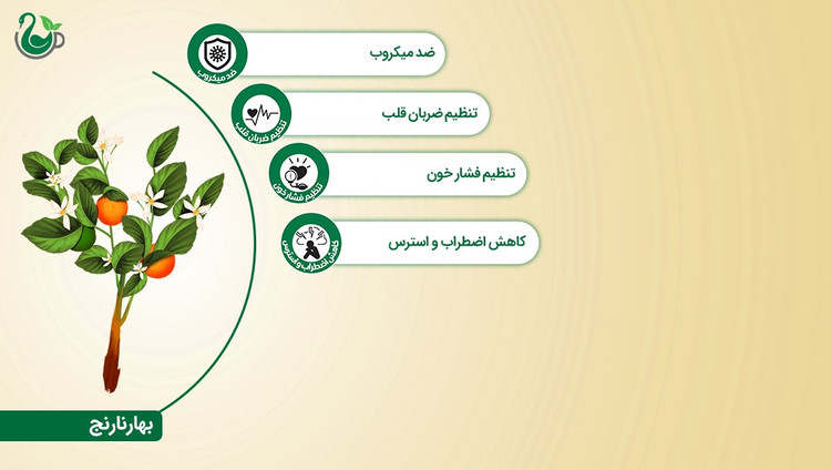 چای سبز و بهارنارنج
