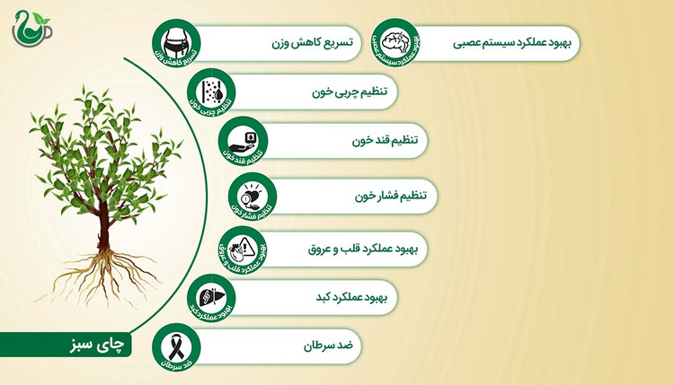 چای سبز و زوفا