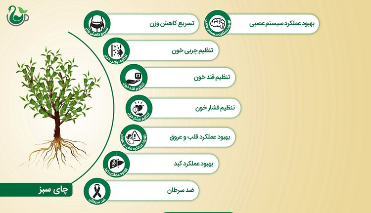چای سبز و جنسینگ