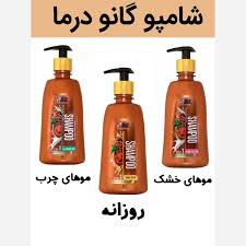 شامپو عصاره گانودرما مخصوص موهای چرب