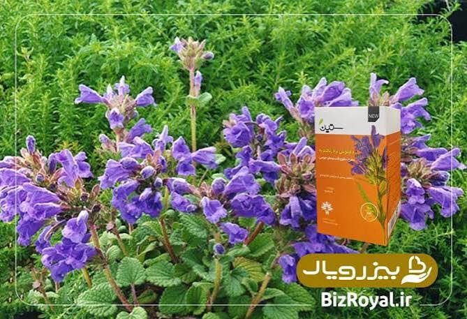 دمنوش بادرنجبویه--مفرح ۲۰ عددی