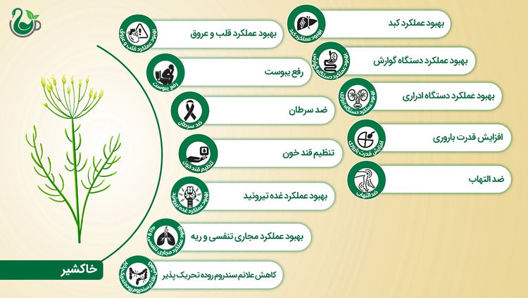 خاکشیر ساشهای 20عددی