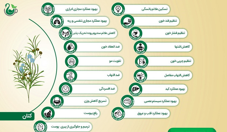 تخم کتان