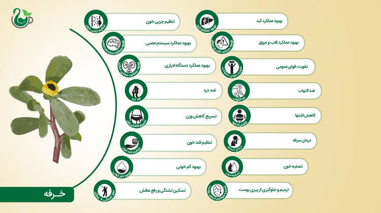 تخم خرفه دوی پک نیوشا (200 گرمی)