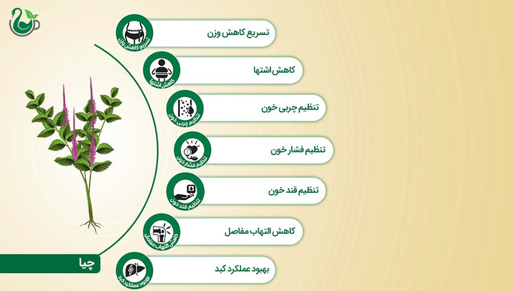 دانه چیا دوی پک نیوشا (200 گرمی)